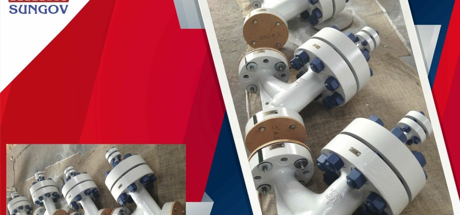 Industrial Strainers