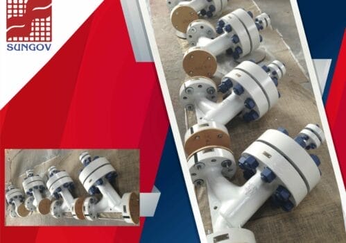 Industrial Strainers