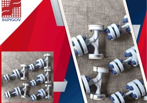Y-Strainers