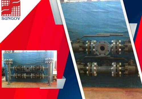 duplex basket filter